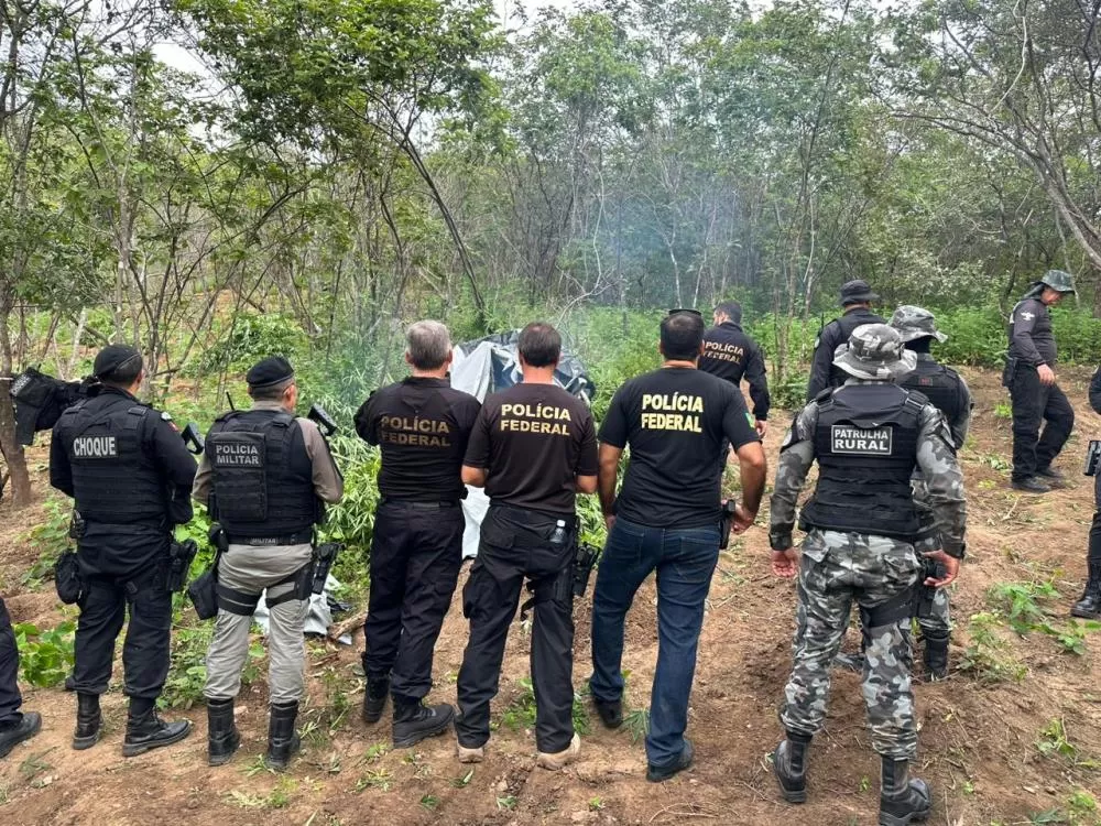Foto: Divulgação/Polícia Federal