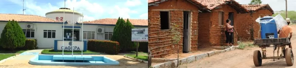 Foto: Reprodução/Edição Patosverdade