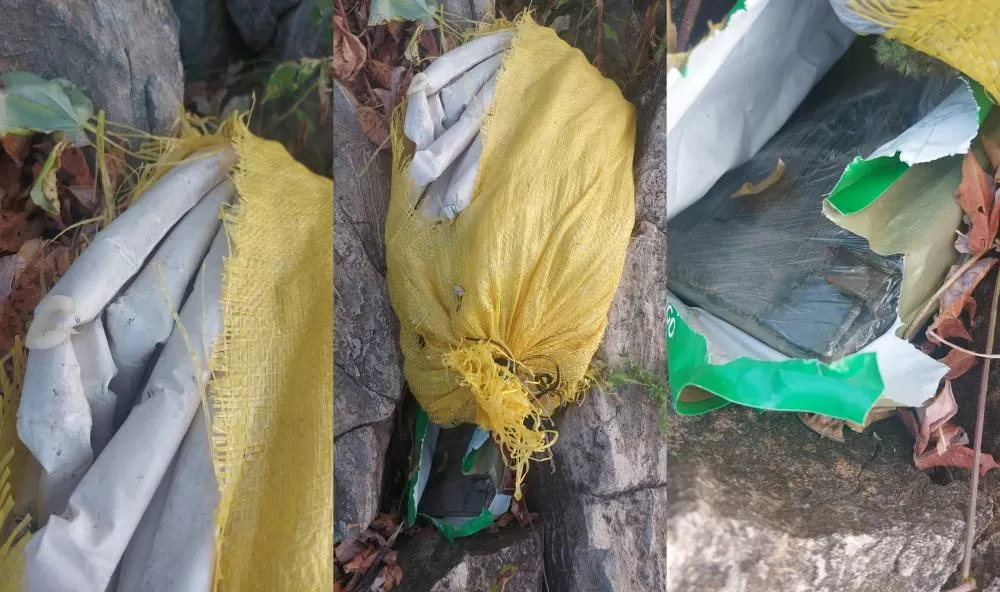 Fotos: Divulgação/Polícia Civil