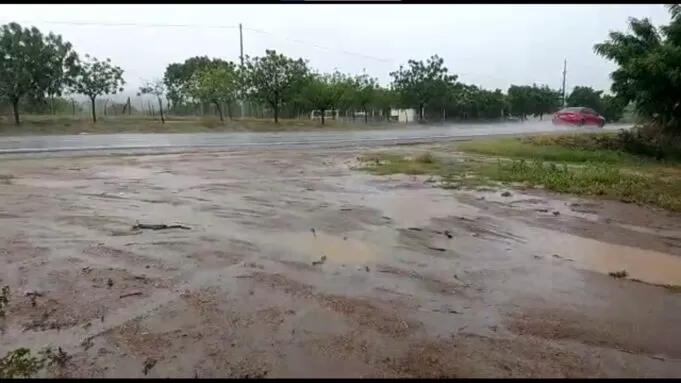 Imagem: José Araújo