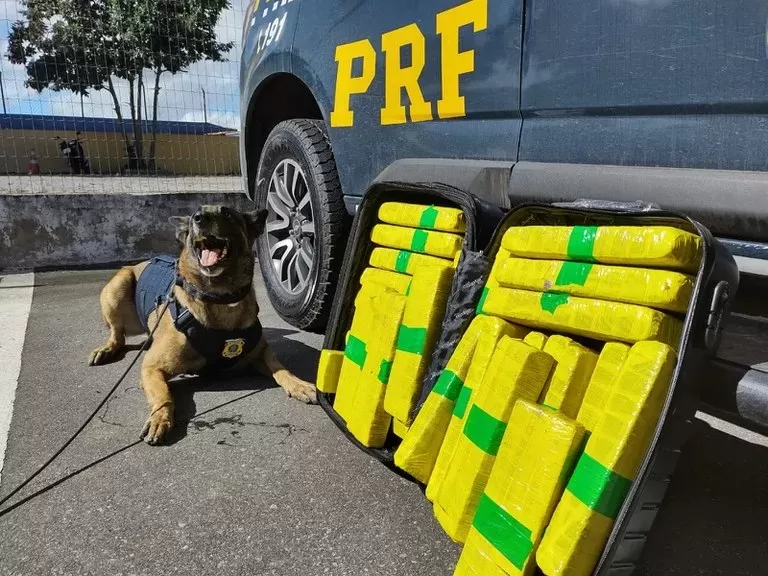 Foto: Divulgação/Assessoria PRF