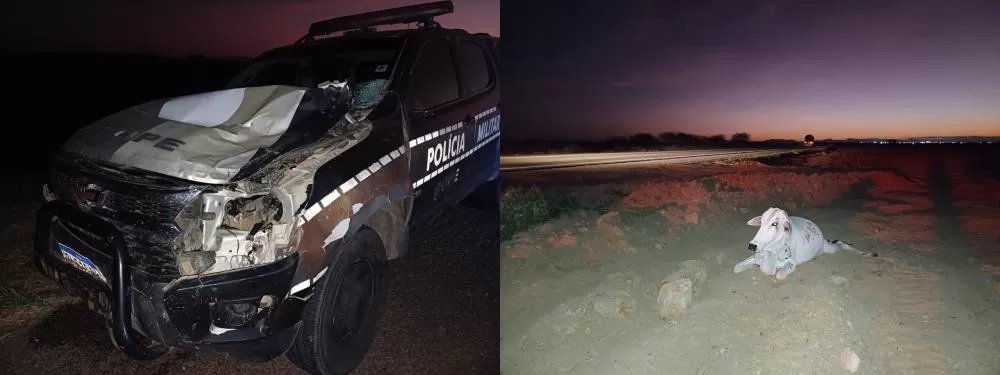 Foto: Divulgação/PRF