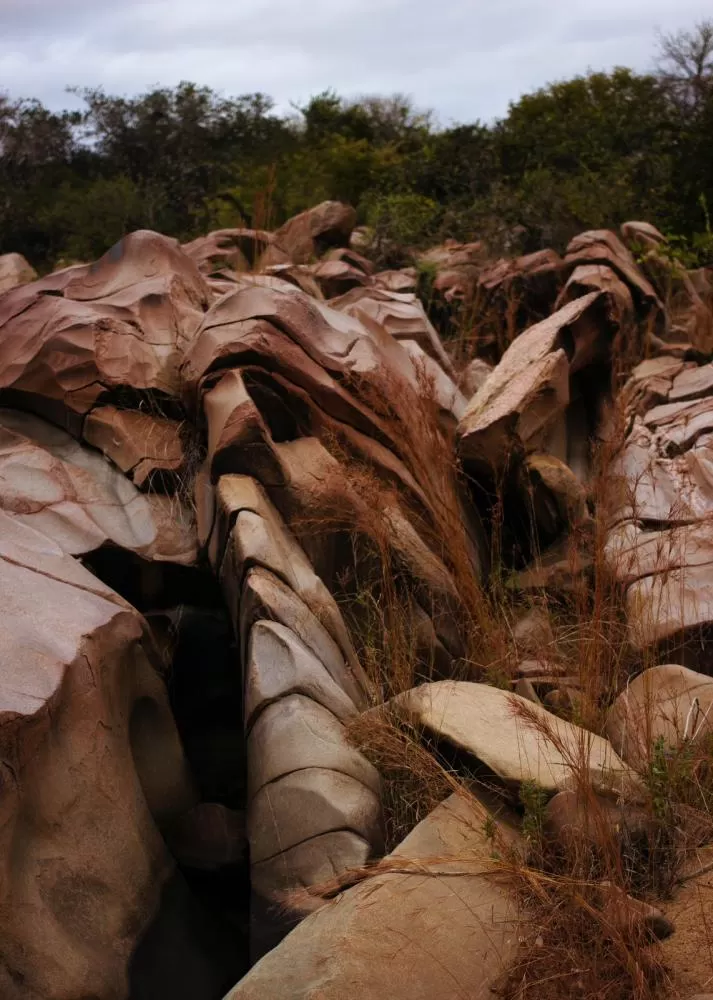 Foto: Alfazema Braba/Divulgação