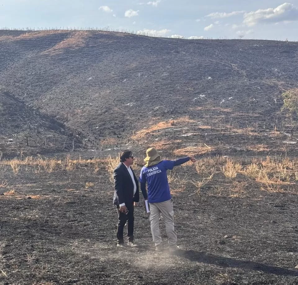 Foto: Divulgação/Polícia Civil