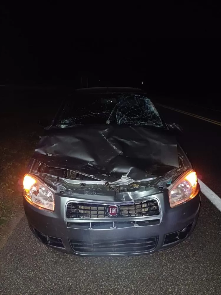 Foto: Comunicação Social da 3ª Delegacia PRF