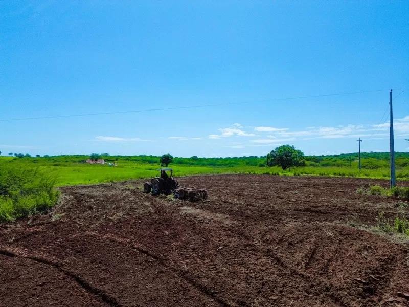 Foto: Secom - Prefeitura de Patos