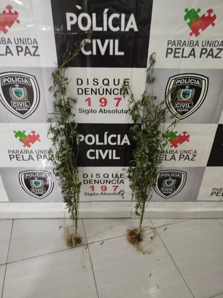 Foto: Divulgação/Polícia Civil