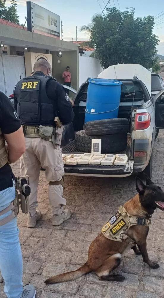 Foto: Divulgação/Polícia Rodoviária Federal