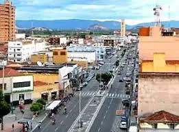 Patos - Foto: Reprodução