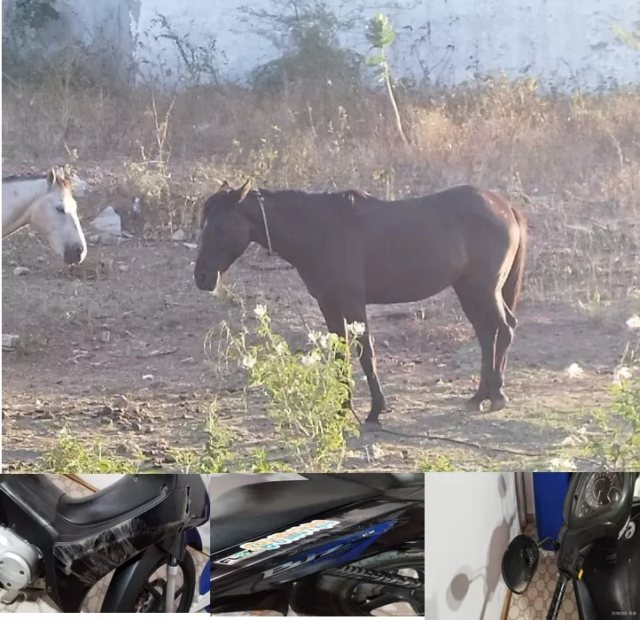 Fotos: Advogada Ellida Karituanna