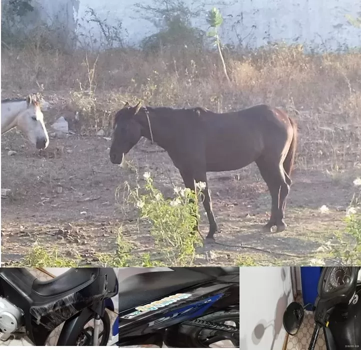 Foto: Fotos: Advogada Ellida Karituanna