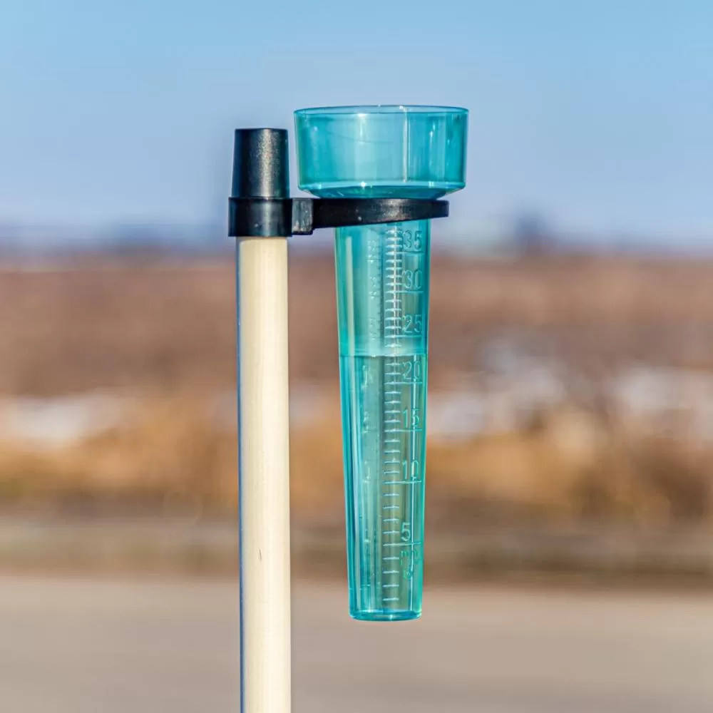 Imagem ilustrativa: Reprodução/Patosverdade