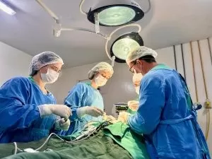 Foto: News Comunicação