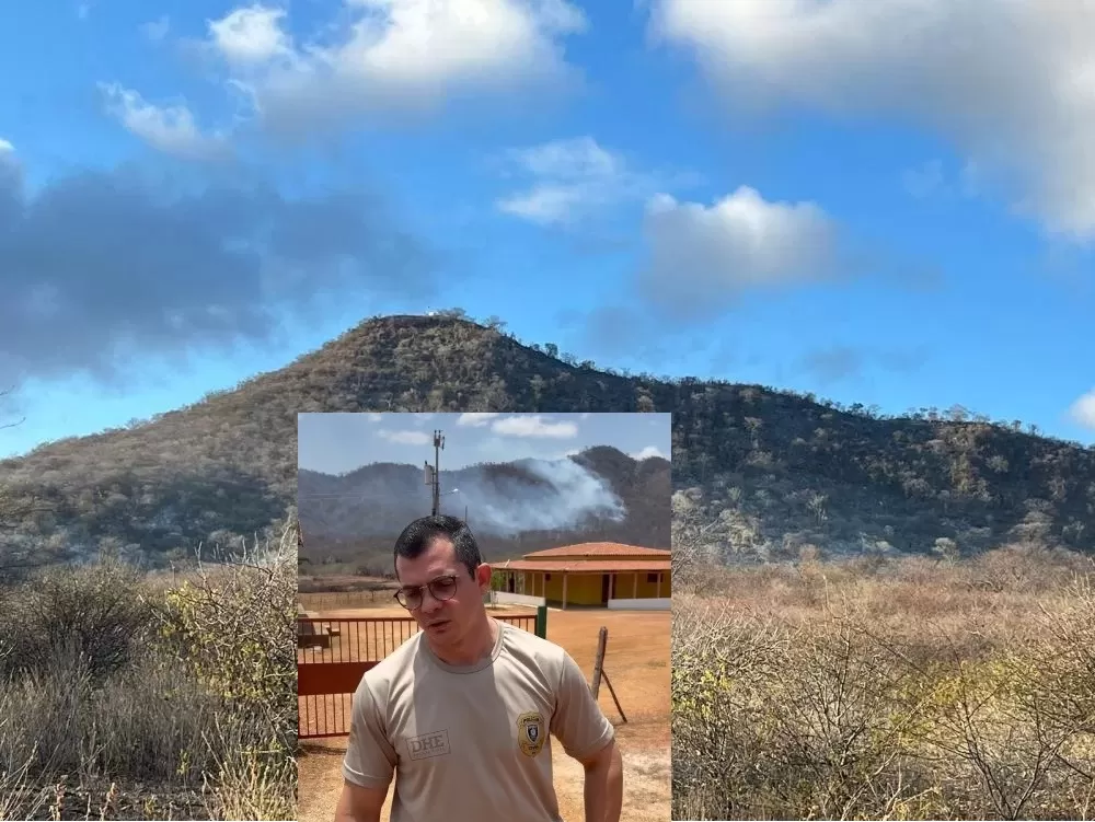 Edição de fotos/Patosverdade