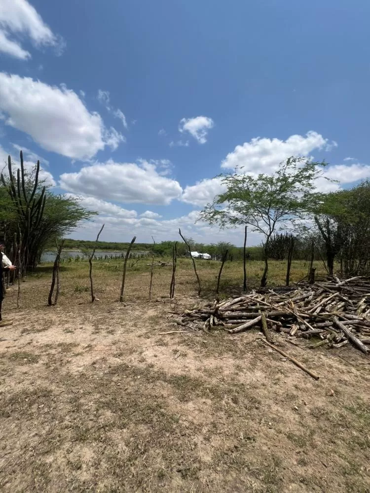 Foto: Polícia Civil da Paraíba