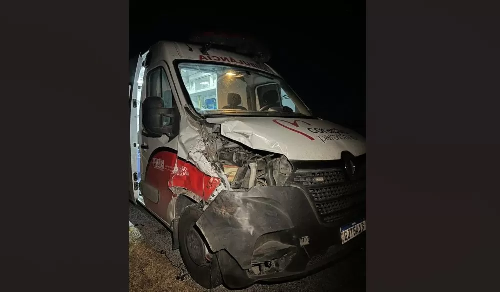 Foto: Reprodução/Polêmica Patos