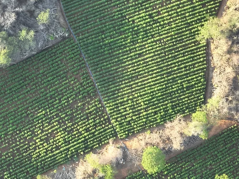 Foto: Comunicação Social da Polícia Federal na Paraíba