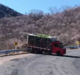 Foto: Reprodução/Redes Sociais