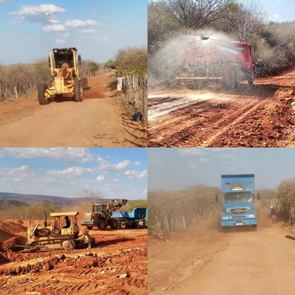 Fotos: DER/Edição Patosverdade