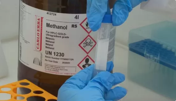 Foto: TV Globo/Reprodução