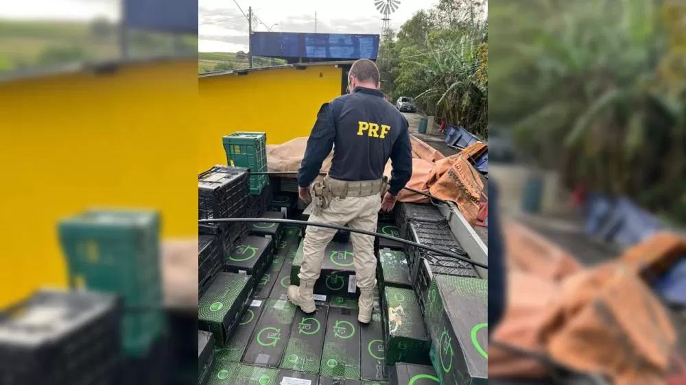 Fotos: Ascom PRF/Divulgação