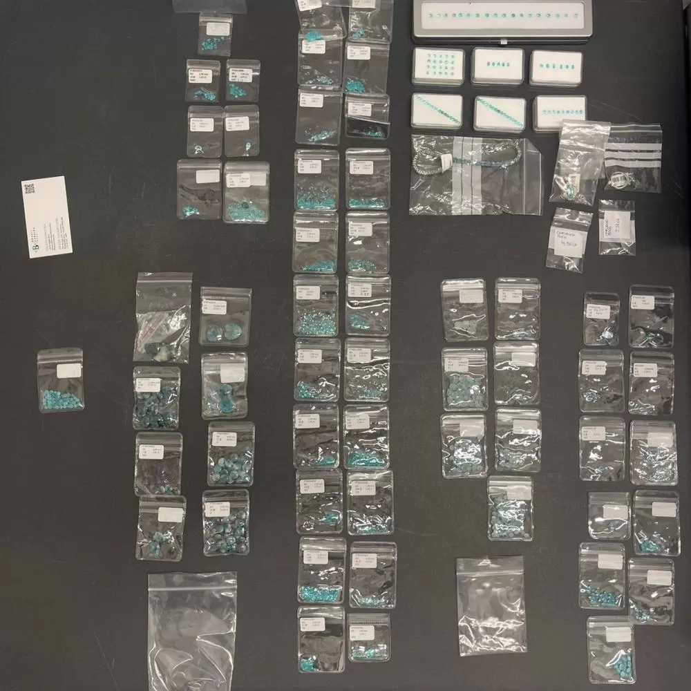 Foto: Assessoria PF/Divulgação