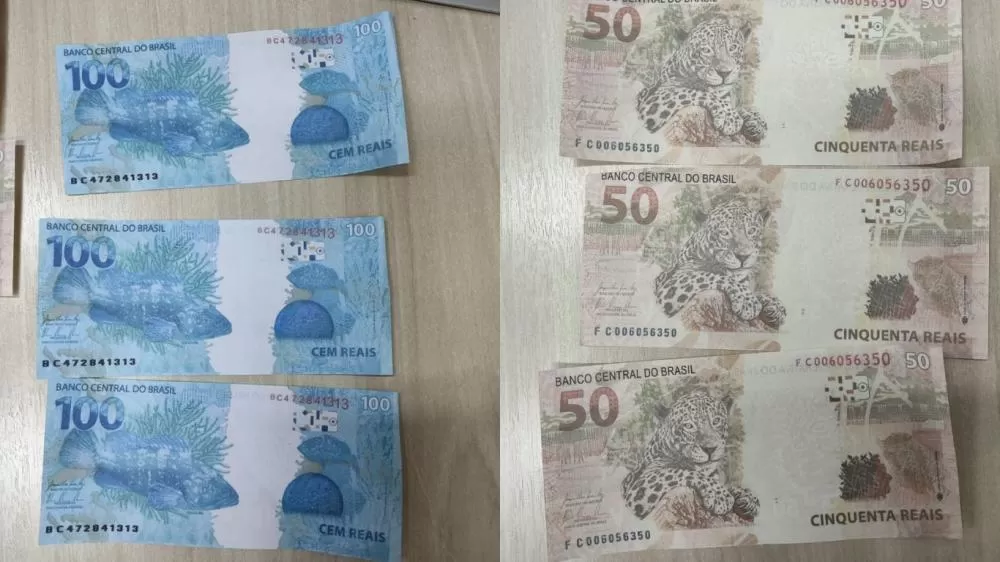 Fotos: Polícia Federal/Divulgação