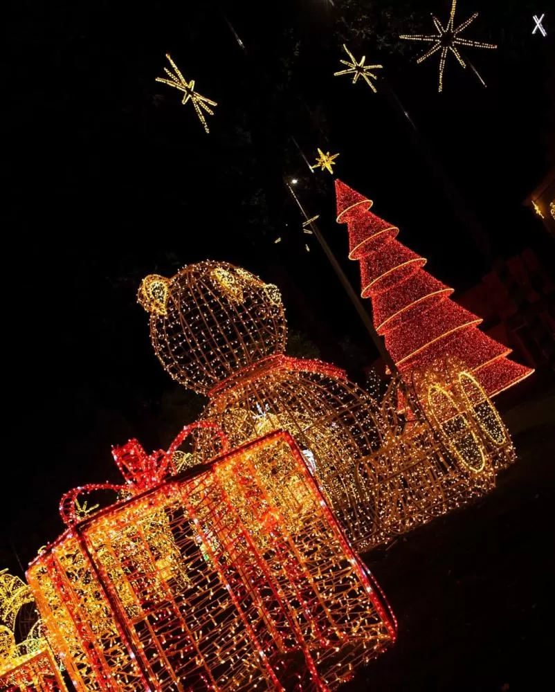 Foto: Aloísio Abrantes/Secom - Prefeitura de Patos