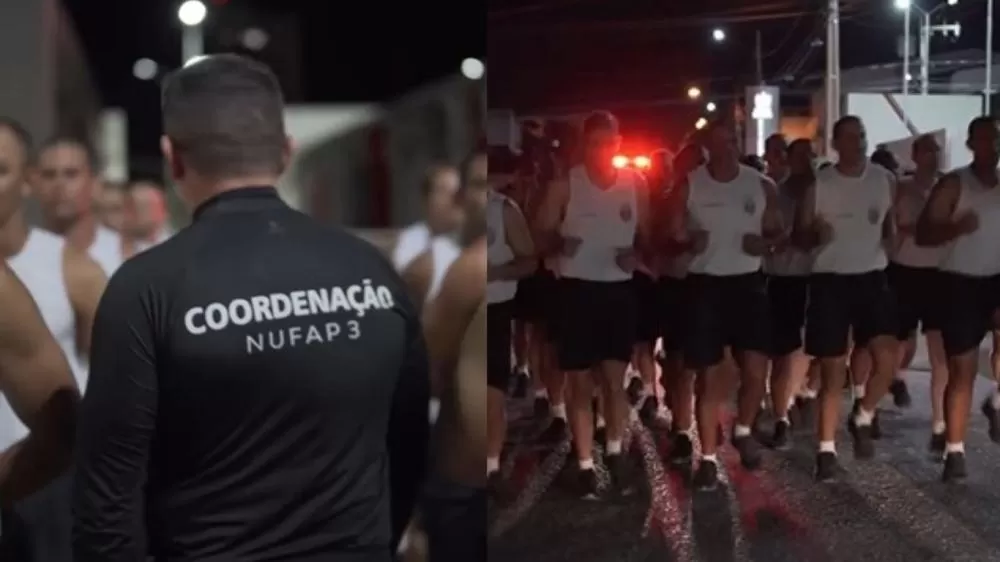 Foto: Montagem Patosverdade