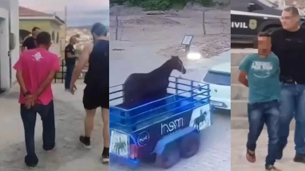 Fotos: Polícia Civil/Delegacia de Picuí