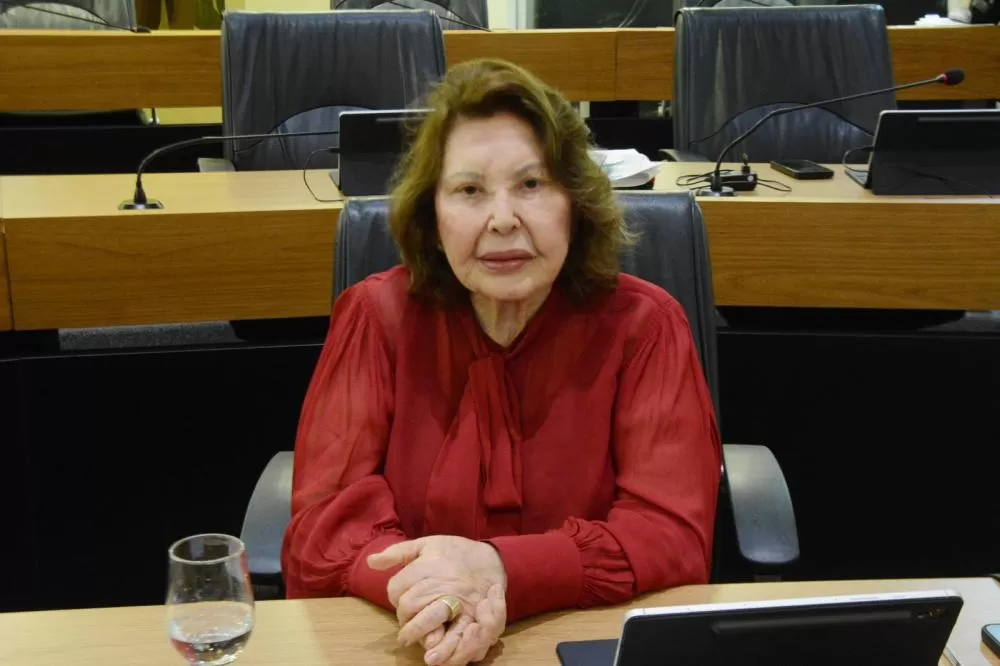 Deputada estadual, Francisca Motta - Foto: Assessoria