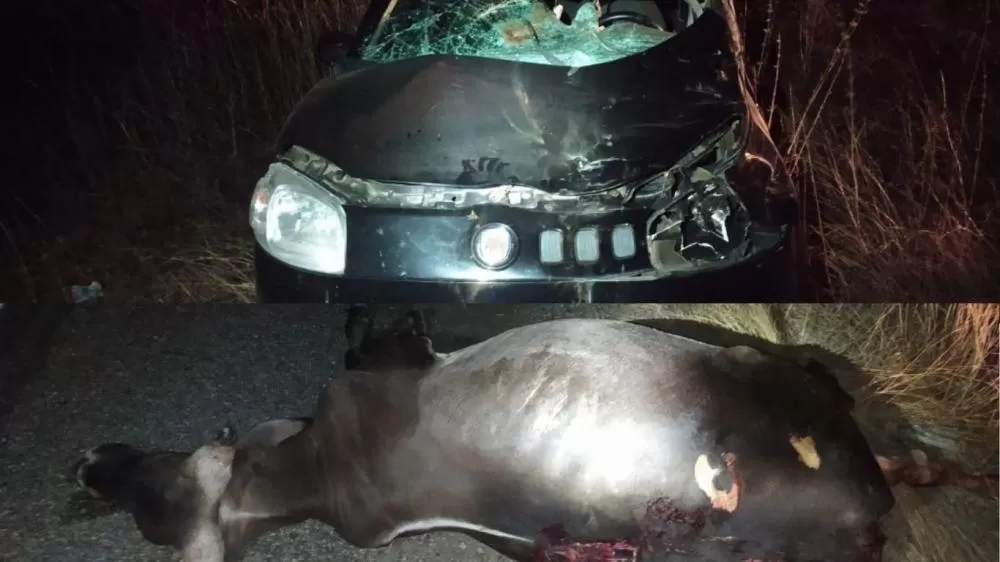 Fotos: Comunicação Social da 3ª Delegacia PRF