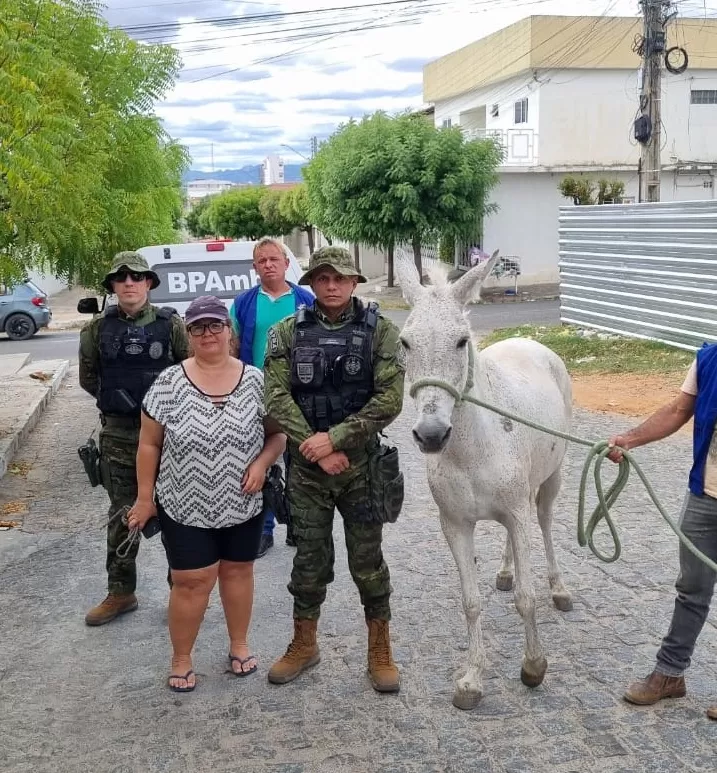 Foto: BPMA / Divulgação
